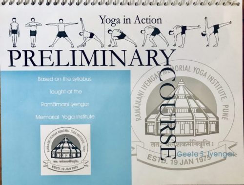 Pic of Yoga in Action Preliminary Book